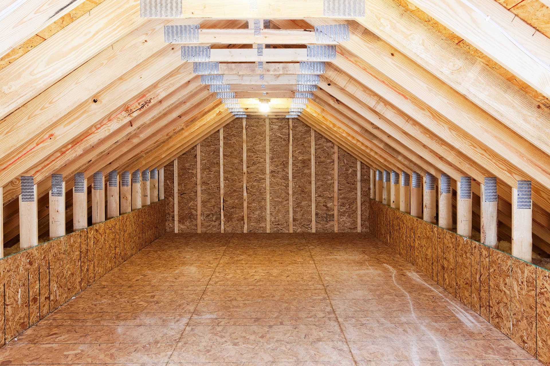 Converting a Trussed Roof: What You Need to Know